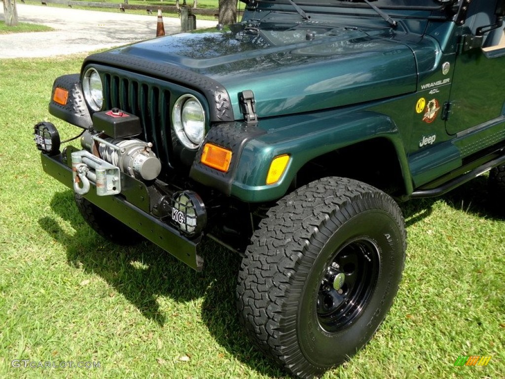 2000 Wrangler Sahara 4x4 - Forest Green Pearl / Camel/Dark Green photo #38
