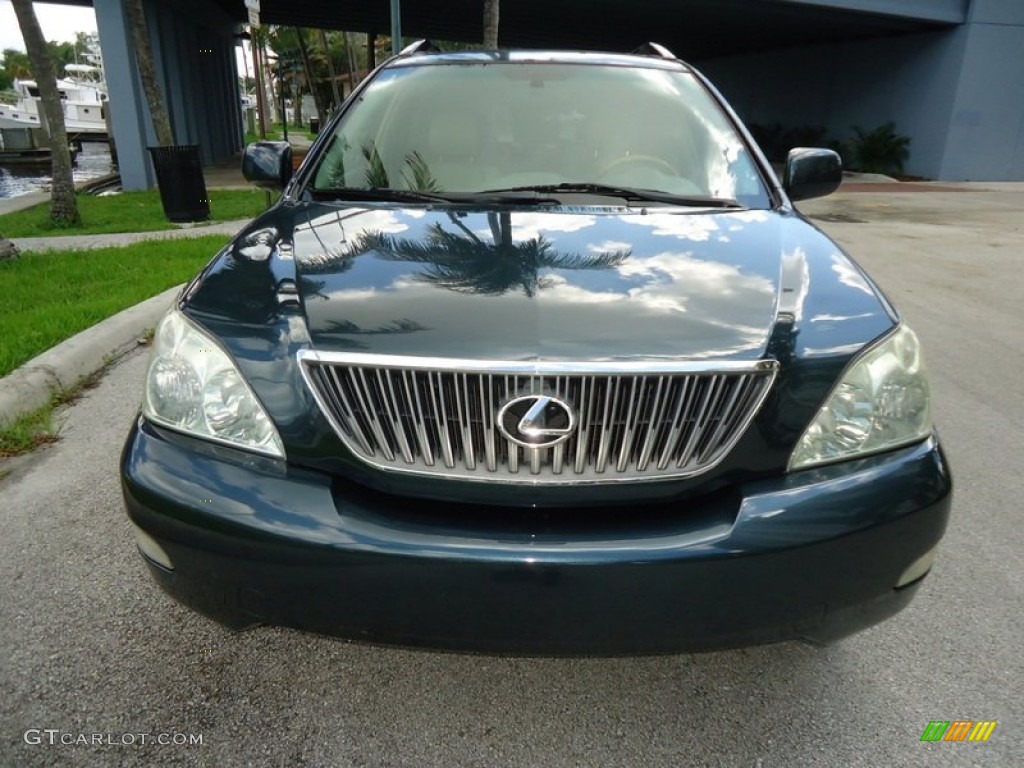 2004 RX 330 - Black Forest Green Pearl / Ivory photo #8