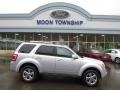 Ingot Silver Metallic 2012 Ford Escape Limited 4WD