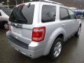 Ingot Silver Metallic - Escape Limited 4WD Photo No. 2