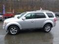 Ingot Silver Metallic - Escape Limited 4WD Photo No. 5