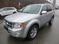 Ingot Silver Metallic 2012 Ford Escape Limited 4WD Exterior