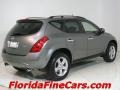 2005 Platinum Metallic Nissan Murano SL  photo #2