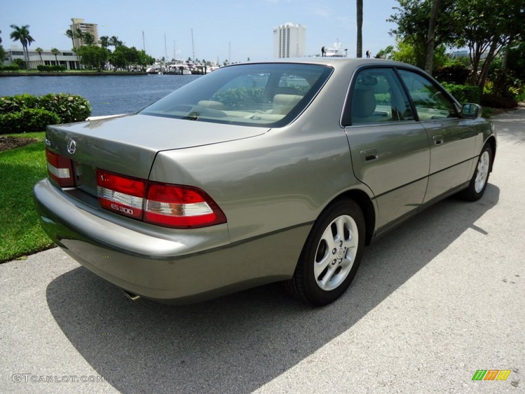 2000 ES 300 Sedan - Antique Sage Pearl / Ivory photo #6
