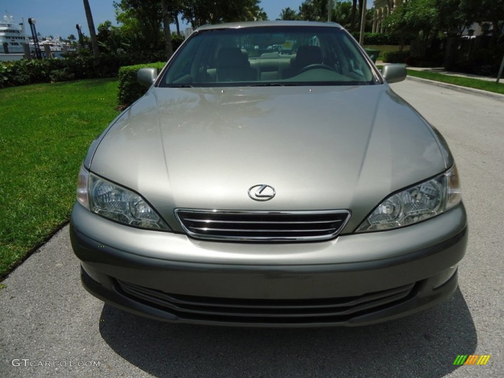 2000 ES 300 Sedan - Antique Sage Pearl / Ivory photo #14