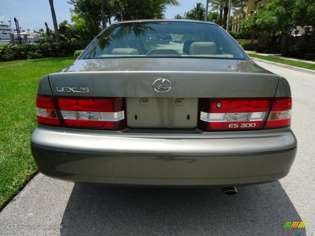 2000 ES 300 Sedan - Antique Sage Pearl / Ivory photo #16