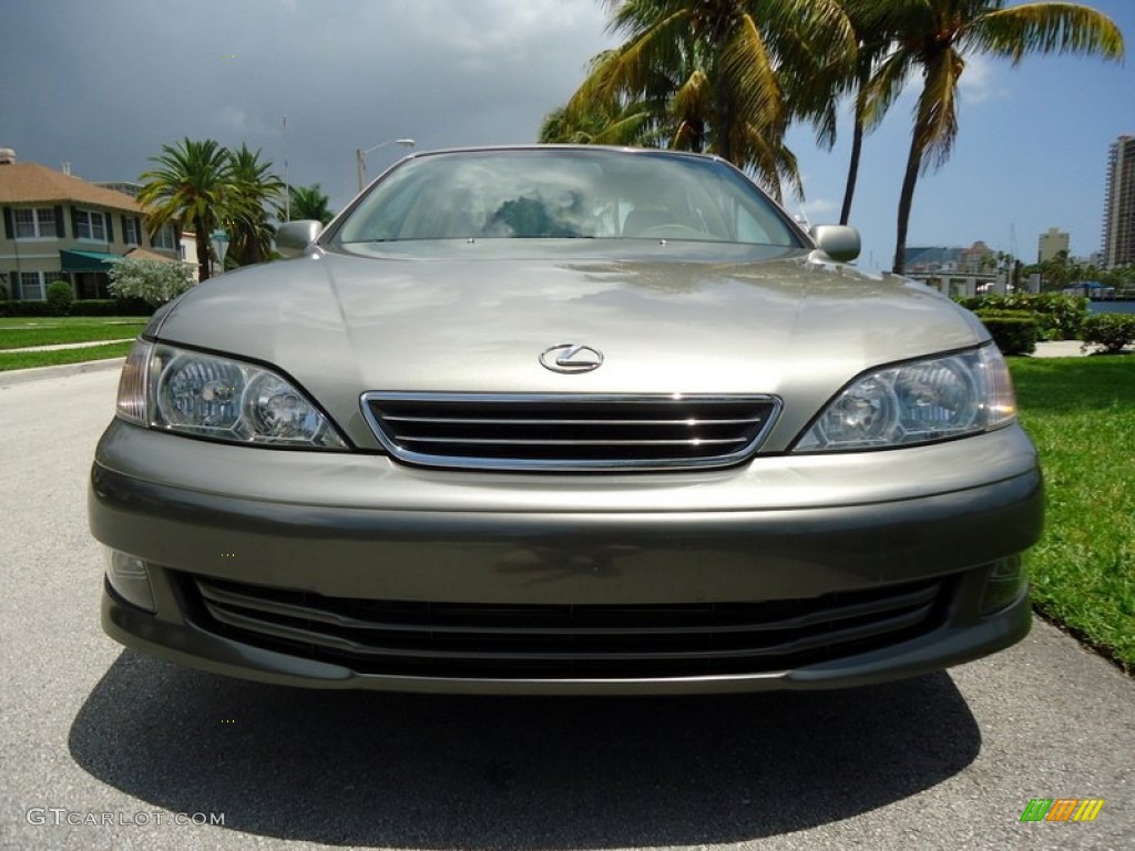 2000 ES 300 Sedan - Antique Sage Pearl / Ivory photo #32