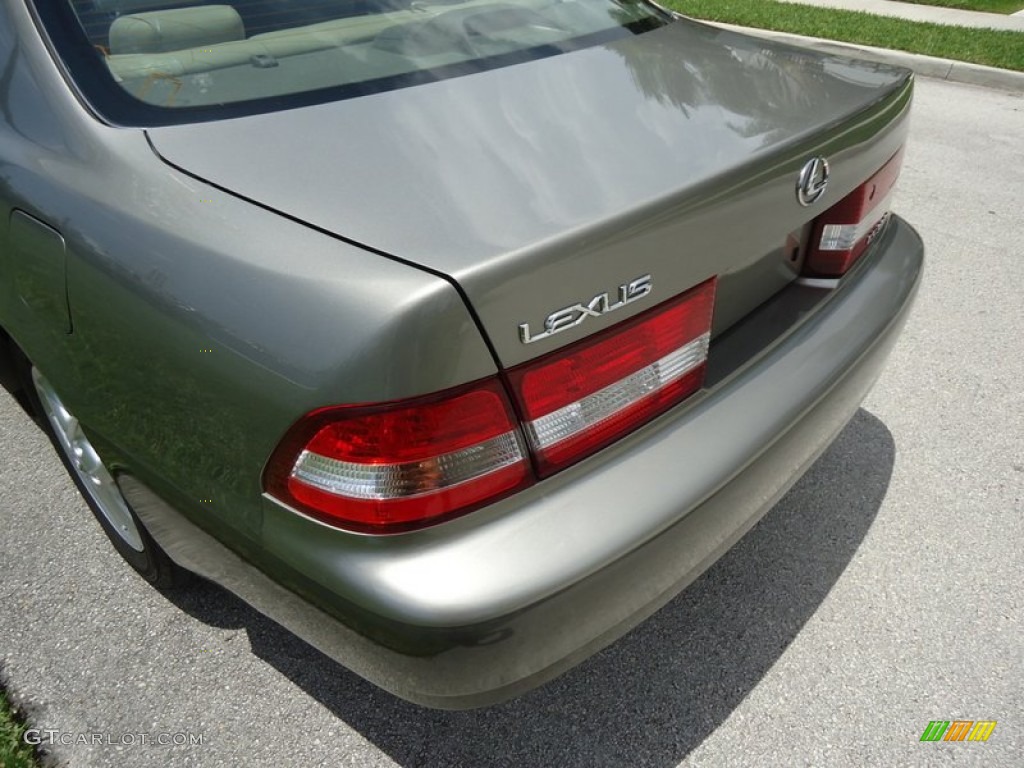2000 ES 300 Sedan - Antique Sage Pearl / Ivory photo #36