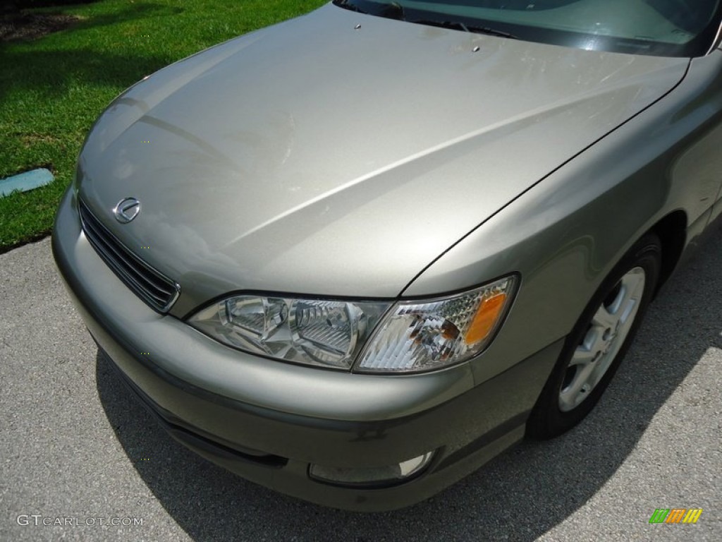 2000 ES 300 Sedan - Antique Sage Pearl / Ivory photo #40