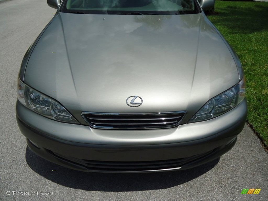 2000 ES 300 Sedan - Antique Sage Pearl / Ivory photo #42