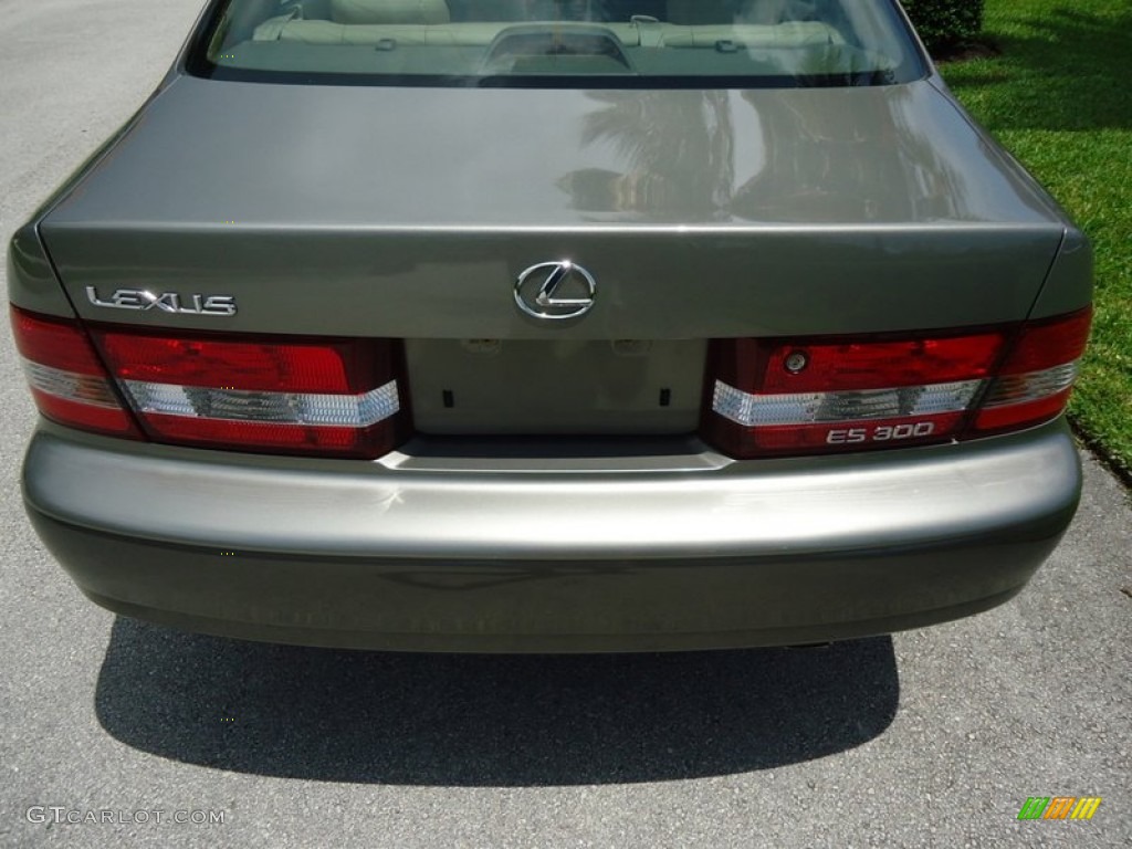 2000 ES 300 Sedan - Antique Sage Pearl / Ivory photo #43