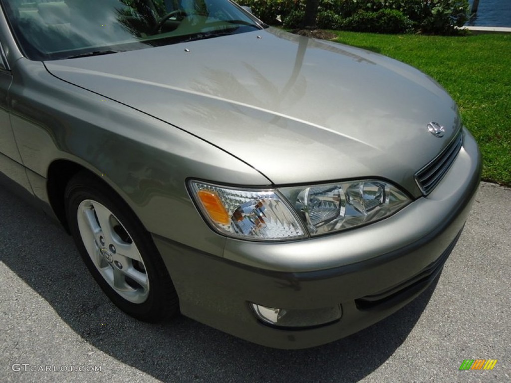 2000 ES 300 Sedan - Antique Sage Pearl / Ivory photo #44