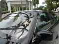 2000 Black Onyx Lexus LS 400 Platinum Series  photo #15