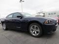 2014 Jazz Blue Pearl Dodge Charger SE  photo #4