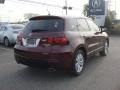 Basque Red Pearl - RDX SH-AWD Photo No. 6