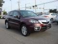 Basque Red Pearl - RDX SH-AWD Photo No. 8