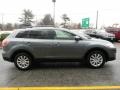 2010 Dolphin Gray Mica Mazda CX-9 Touring AWD  photo #6