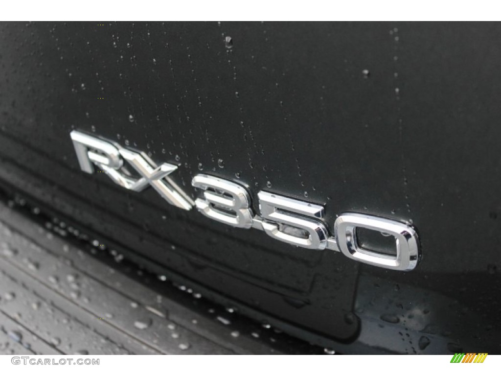 2009 RX 350 AWD - Smokey Granite / Light Gray photo #36