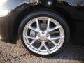 Super Black - Maxima 3.5 SV Sport Photo No. 11