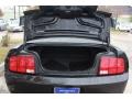 Black - Mustang V6 Premium Coupe Photo No. 13