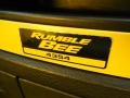 2004 Dodge Ram 1500 SLT Rumble Bee Regular Cab Marks and Logos