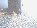 Alabaster Silver Metallic - Civic Si Sedan Photo No. 21