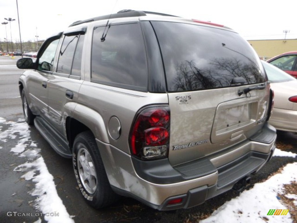 2003 TrailBlazer LS 4x4 - Light Pewter Metallic / Medium Pewter photo #2