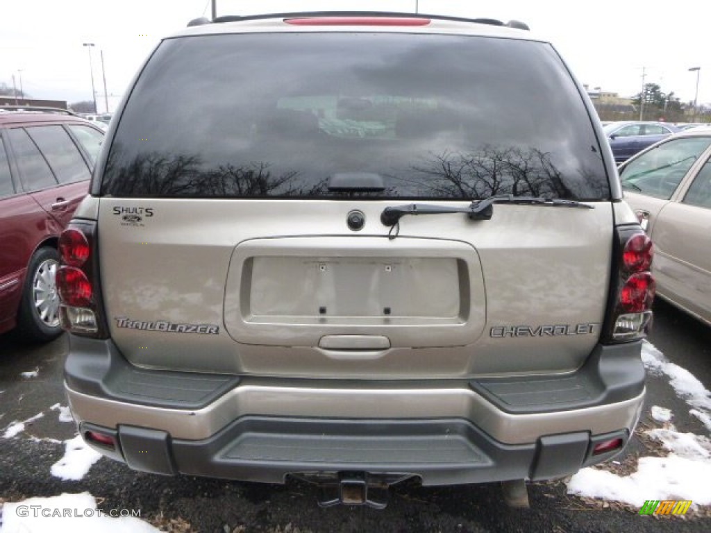 2003 TrailBlazer LS 4x4 - Light Pewter Metallic / Medium Pewter photo #3