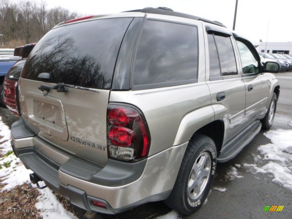 2003 TrailBlazer LS 4x4 - Light Pewter Metallic / Medium Pewter photo #4
