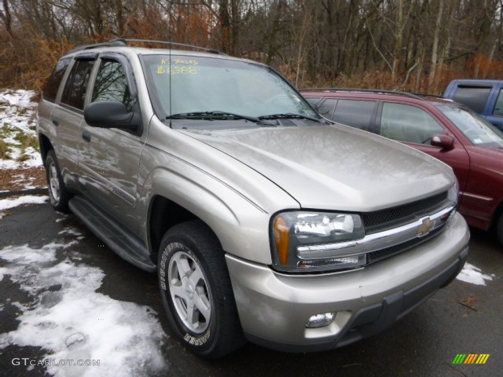 2003 TrailBlazer LS 4x4 - Light Pewter Metallic / Medium Pewter photo #5