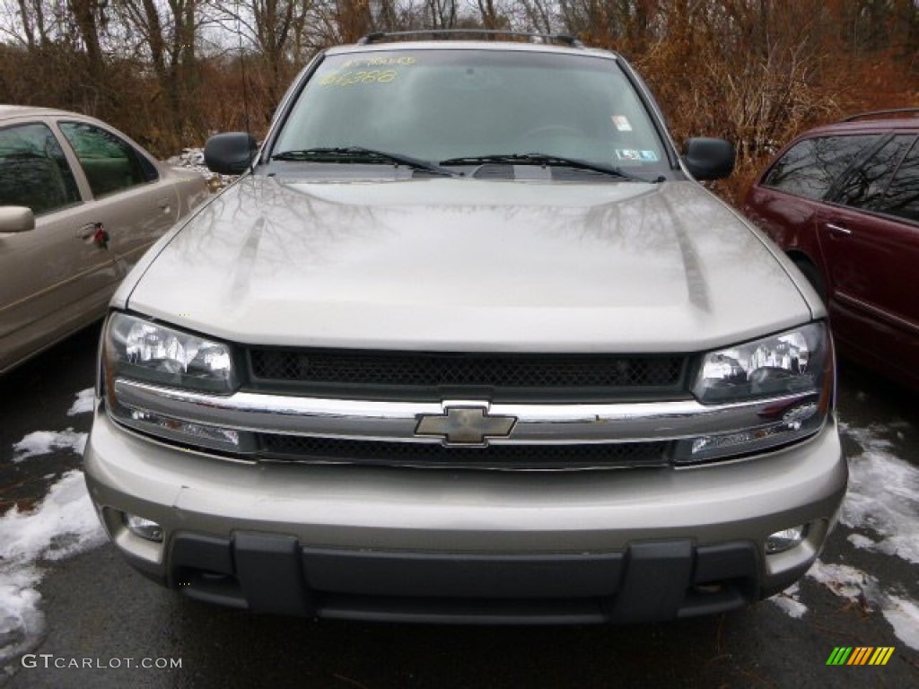 2003 TrailBlazer LS 4x4 - Light Pewter Metallic / Medium Pewter photo #6