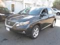 Smokey Granite Mica - RX 350 AWD Photo No. 3