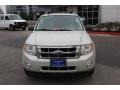 2009 Light Sage Metallic Ford Escape XLT  photo #3