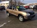 Sandstone 2004 Hyundai Santa Fe GLS 4WD