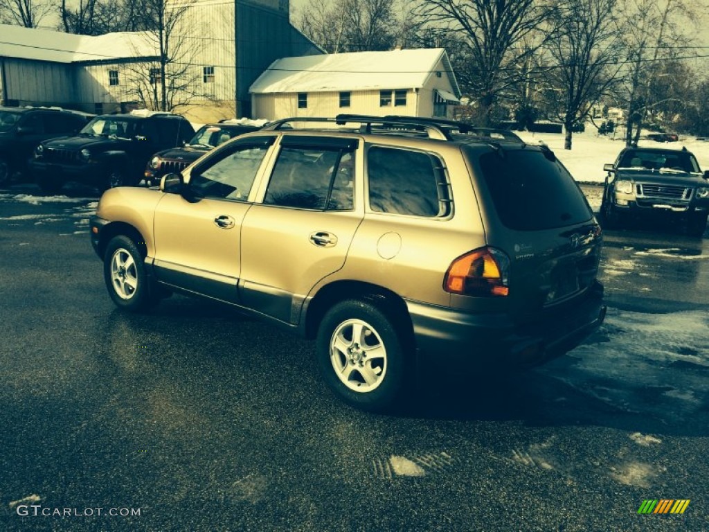 2004 Santa Fe GLS 4WD - Sandstone / Beige photo #2
