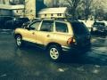 2004 Sandstone Hyundai Santa Fe GLS 4WD  photo #2