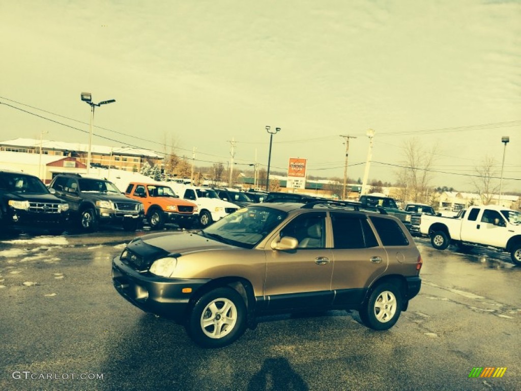 2004 Santa Fe GLS 4WD - Sandstone / Beige photo #5