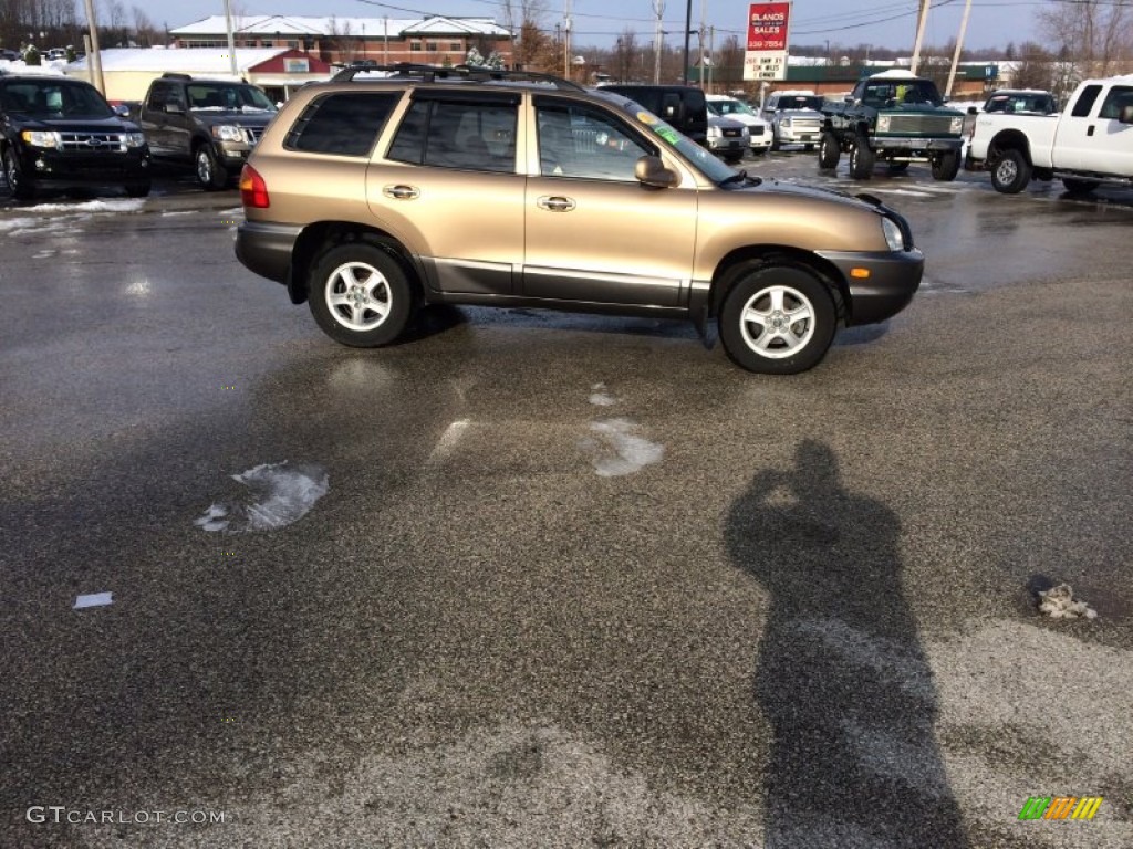 2004 Santa Fe GLS 4WD - Sandstone / Beige photo #24