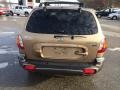 2004 Sandstone Hyundai Santa Fe GLS 4WD  photo #41