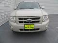 2008 Light Sage Metallic Ford Escape Limited  photo #8