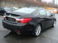 Midnight Black - Sonata Limited 2.0T Photo No. 4