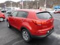 Signal Red - Sportage EX AWD Photo No. 6