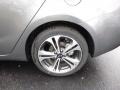 2014 Gunmetal Gray Kia Forte EX  photo #9