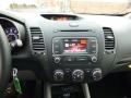 2014 Gunmetal Gray Kia Forte EX  photo #16