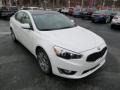 Snow White Pearl 2014 Kia Cadenza Premium Exterior