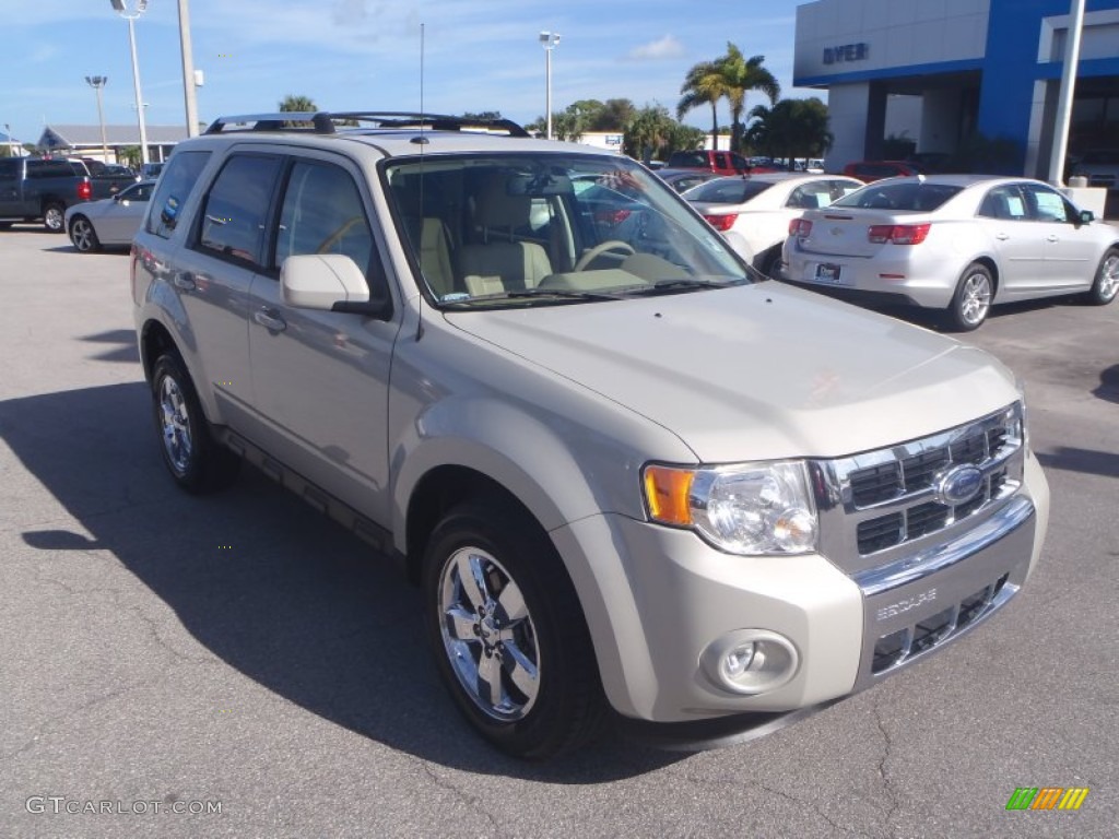 Light Sage Metallic Ford Escape