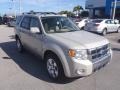 Light Sage Metallic 2009 Ford Escape Limited