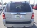 2009 Light Sage Metallic Ford Escape Limited  photo #4