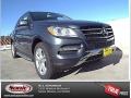 Steel Grey Metallic - ML 350 Photo No. 1