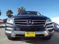 Steel Grey Metallic - ML 350 Photo No. 2